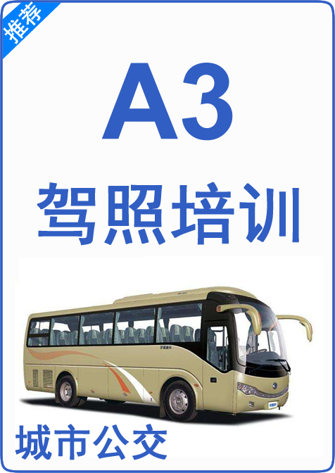 A3驾照培训